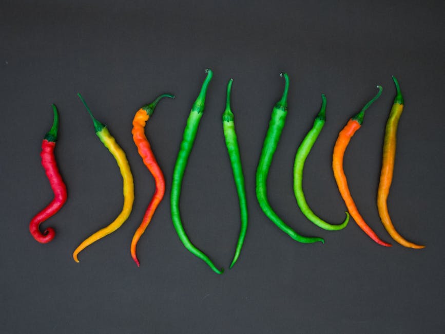 Varied colorful chili peppers representing product diversity
